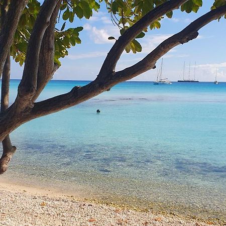 Poe Guesthouse Rangiroa Εξωτερικό φωτογραφία
